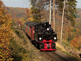 Photo des Monats Oktober 2008