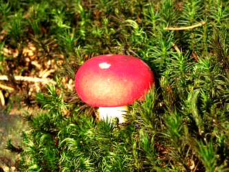 Photo des Monats Oktober