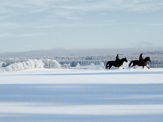 Photos des Monats Januar