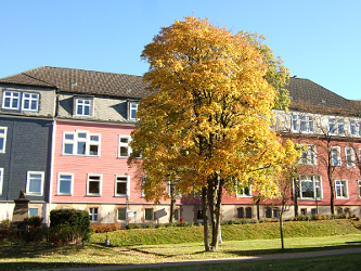Photo des Monats Oktober 2010
