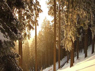 Photo des Monats Dezember 2010